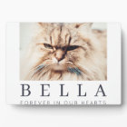 Pet Memorial Simple Modern Chic Family Photo