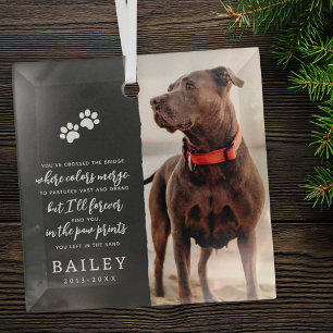 Pet Memorial Simple Modern Chic Poem Photo Glass Tree Decoration