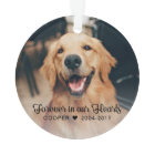 Pet Memorial | Sympathy | 2 Photos