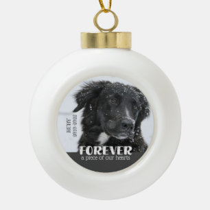 Pet Memorial Sympathy Photo Ceramic Ball Christmas Ornament