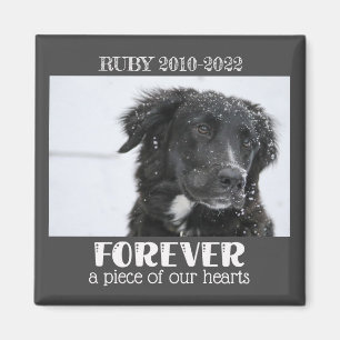 Pet Memorial Sympathy Photo  Magnet
