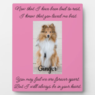 Pet Memorial Tabletop Plaque with Easel