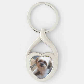 Pet Memory Key Chain