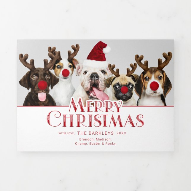 Pet Merry Christmas Typography | Photo | Dots Tri-Fold Holiday Card (Cover)