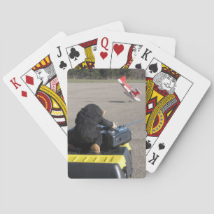 Pet Monkey Crashing Dads RC Aeroplane. Oops! Playing Cards