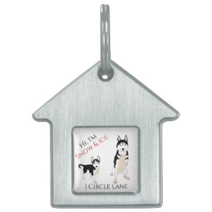 Pet Name & address Cute Husky Pup Framed Pet Tag