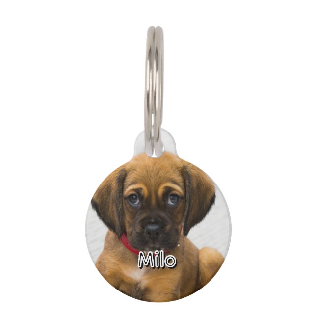 Pet Name and Address Tag (Front)