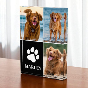 Pet Name Paw Dog Lover Photo 3 Collage Photo Block