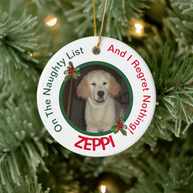 Pet Naughty List Christmas Ceramic Ornament (Tree)