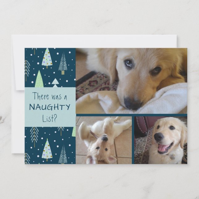Pet Naughty or Nice Blue Trees 3 Photos Holiday Card (Front)
