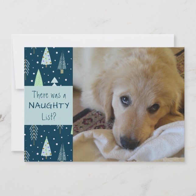 Pet Naughty or Nice Blue Trees Happy Holidays Holiday Card (Front)