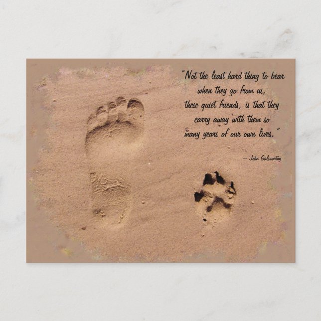 Pet & Owner Prints in the Sand Postcard (Front)