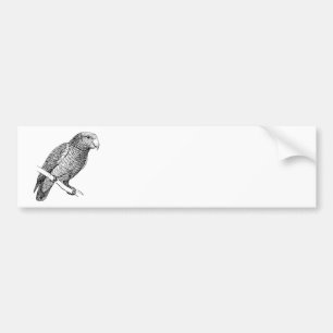 Pet Parrot Bird Art Bumper Sticker
