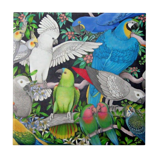 Pet Parrots of the World Tile (Front)