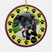 Pet Paws 2010