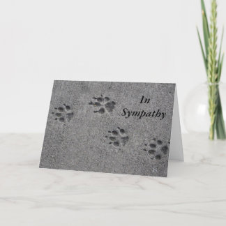 Pet Paws in Cement – Always There Card