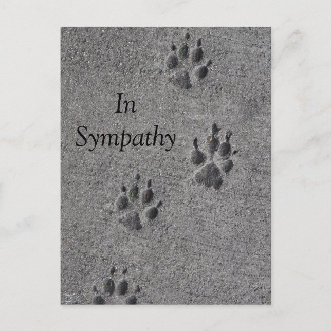 Pet Paws in Cement – Always There Postcard (Front)