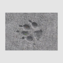 Pet Paws in Cement – Always There