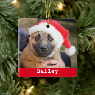 Pet Personalised Classic Red Green Pine Tree Ceramic Ornament