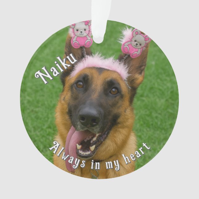 Pet Photo Acrylic Memorial Ornament (Front)