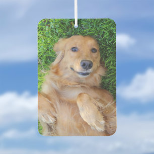 Pet Photo Air Freshener