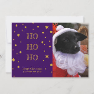 Pet Photo Christmas Card Personalised Your Photo