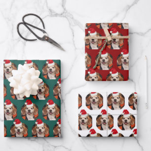Pet Photo Christmas Colors Santa Hats on Head Wrapping Paper Sheet