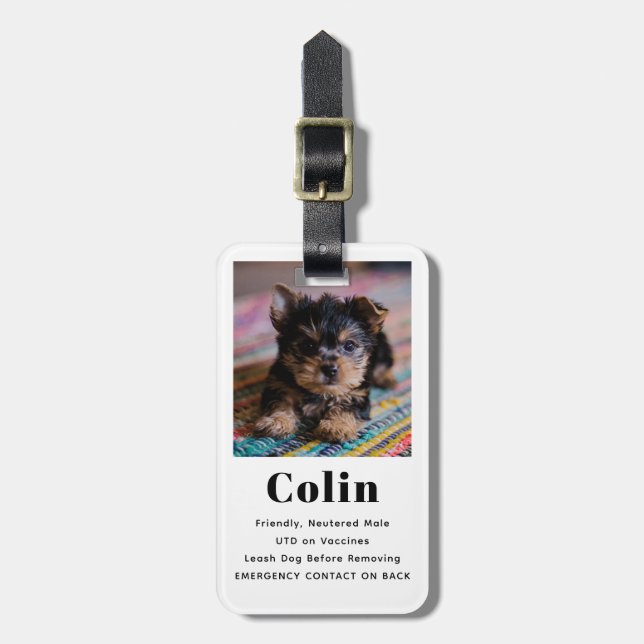 Pet Photo Crate Tag Emergency Contact Information (Front Vertical)