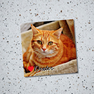 Pet Photo Dog Cat Personalised Keepsake Magnet