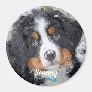 Pet Photo - Dog - Cat - Pet Memorial Magnet