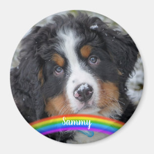 Pet Photo - Dog - Cat - Pet Memorial Magnet