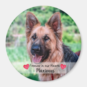 Pet Photo - Dog - Cat - Pet Memorial Magnet