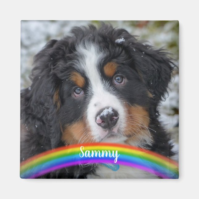 Pet Photo - Dog - Cat - Pet Memorial Magnet (Front)