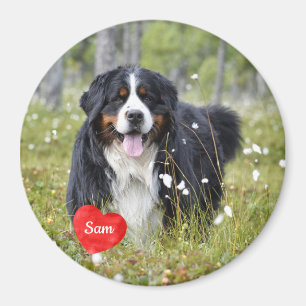 Pet Photo - Dog - Cat - Pet Memorial Magnet