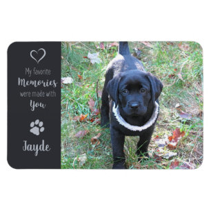 Pet Photo - Dog Photo - Cat Photo - Pet Memorial Magnet