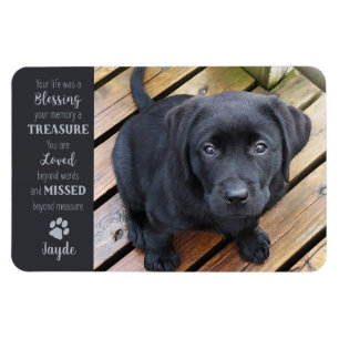 Pet Photo - Dog Photo - Cat Photo - Pet Memorial Magnet