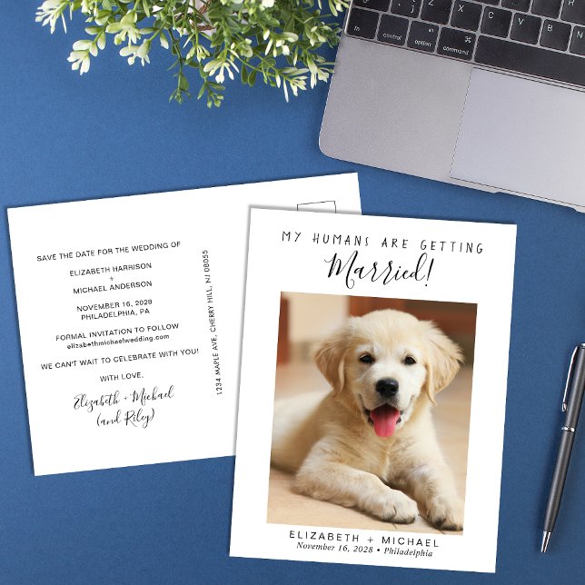 Pet Photo Engagement Save The Date Announcement Postcard (Creator Uploaded)
