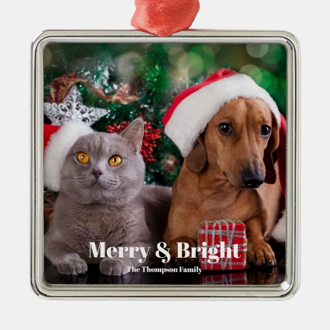 Pet Photo Family Name Merry and Bright Metal Ornament (Front)