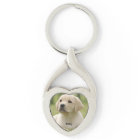 Pet Photo Gifts - Cat Memorial - Dog Memorial