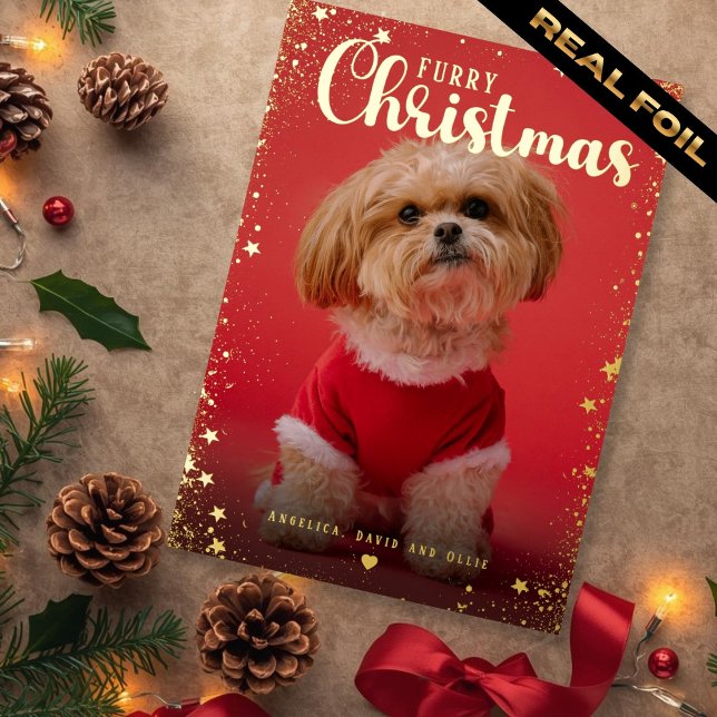 Pet Photo Golden Star Frame  Foil Holiday Card (Pet Photo Golden Star Frame Foil Holiday Card)