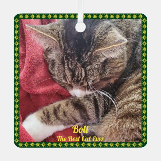 Pet Photo Green Border Best Cat Ever and Name  Metal Tree Decoration (Front)