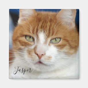 Pet Photo Handwritten Script Magnet