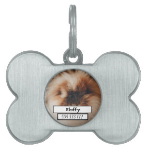 Pet Photo ID Tag
