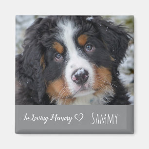 Pet Photo Memorial - Dog Lover Keepsake - Pet Loss Magnet