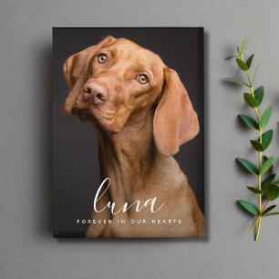 Pet Photo Memorial Remembrance Tribute