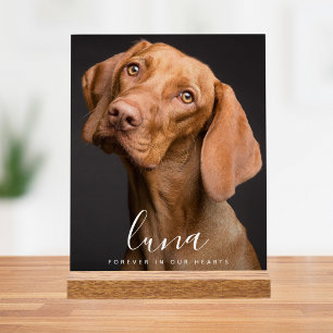 Pet Photo Memorial Tribute Acrylic Sign