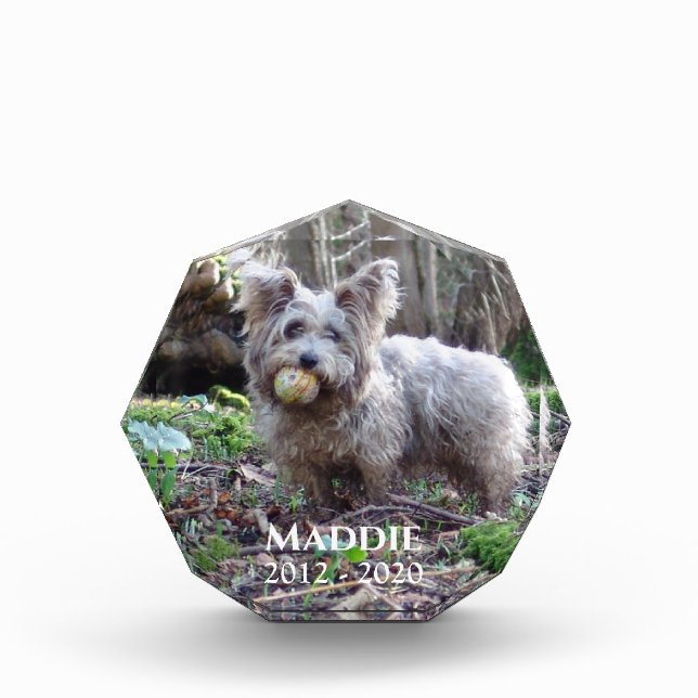 Pet Photo Memorial with Name and Date Block (Front)