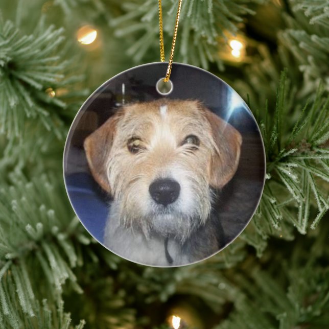 PET PHOTO Memorial With Typography Ornament (Tree)