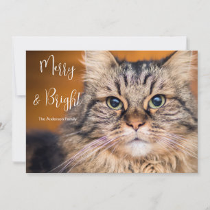 Pet Photo Merry and Bright  Holiday Card