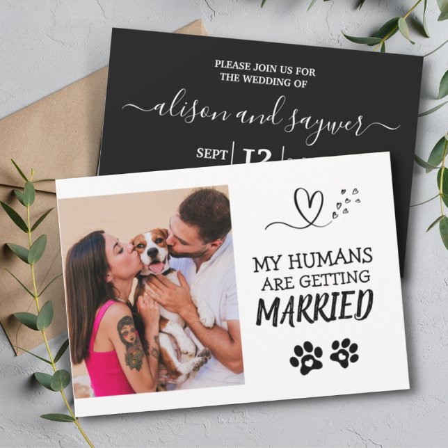 Pet Photo Modern Simple Black and White Wedding Invitation (Creator Uploaded)